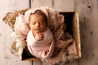 Newborn Photographer in Mid-Michigan | Wrapped Newborn Photo